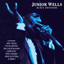 Junior Wells – BLUES BROTHERS (Vinyl)