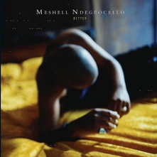 Vinyl NDEGEOCELLO, ME'SHELL - BITTER