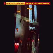 Vinyl Black Celebration