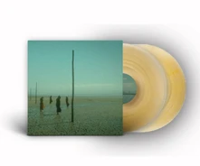 Devil's Witches, Vinyl IN ALL HER FORMS