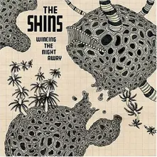 Vinyl WINCING THE NIGHT AWAY