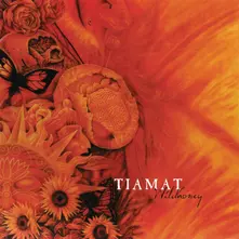 Tiamat – Wildhoney (Re-Issue + Bonus) (CD)
