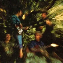 BAYOU COUNTRY thumbnail