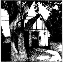 Naomi Lewis, Vinyl COTTAGE SONGS