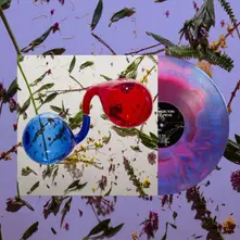Dirty Projectors – LAMP LIT PROSE (Red/Blue Vinyl) (Vinyl)
