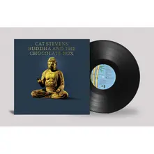 BUDDHA AND THE CHOCOLATE thumbnail