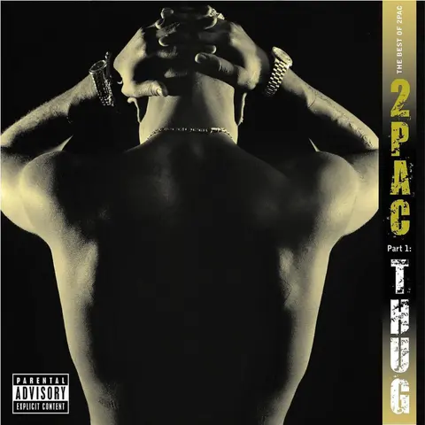 The Best Of 2Pac Pt. 1: Thug