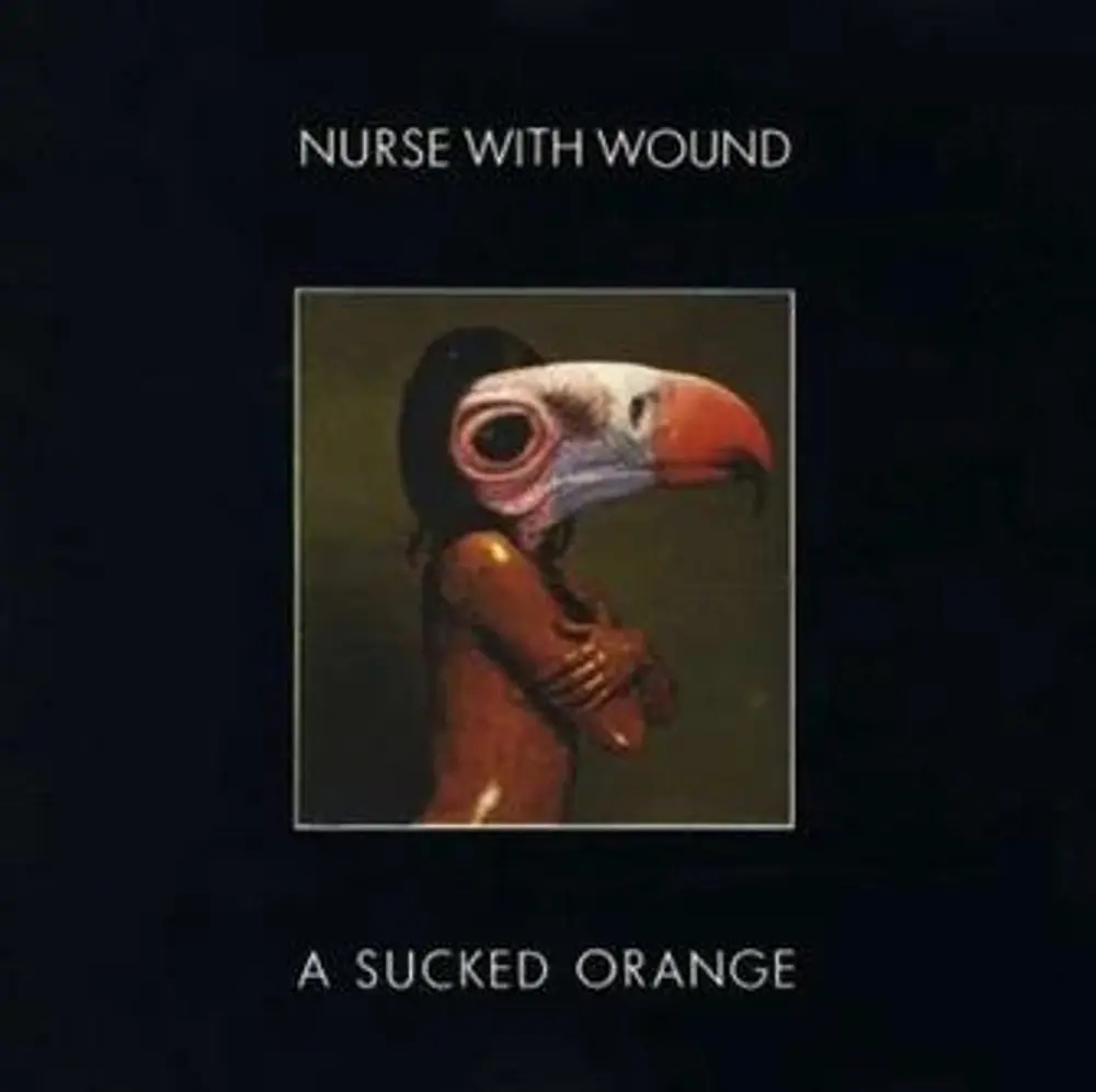 Nurse with Wound – A SUCKED ORANGE (Vinyl)