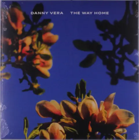 THE WAY HOME