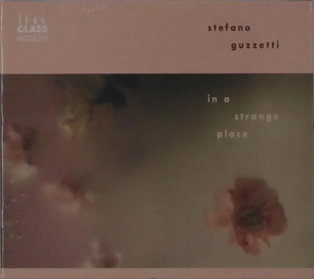 IN A STRANGE PLACE