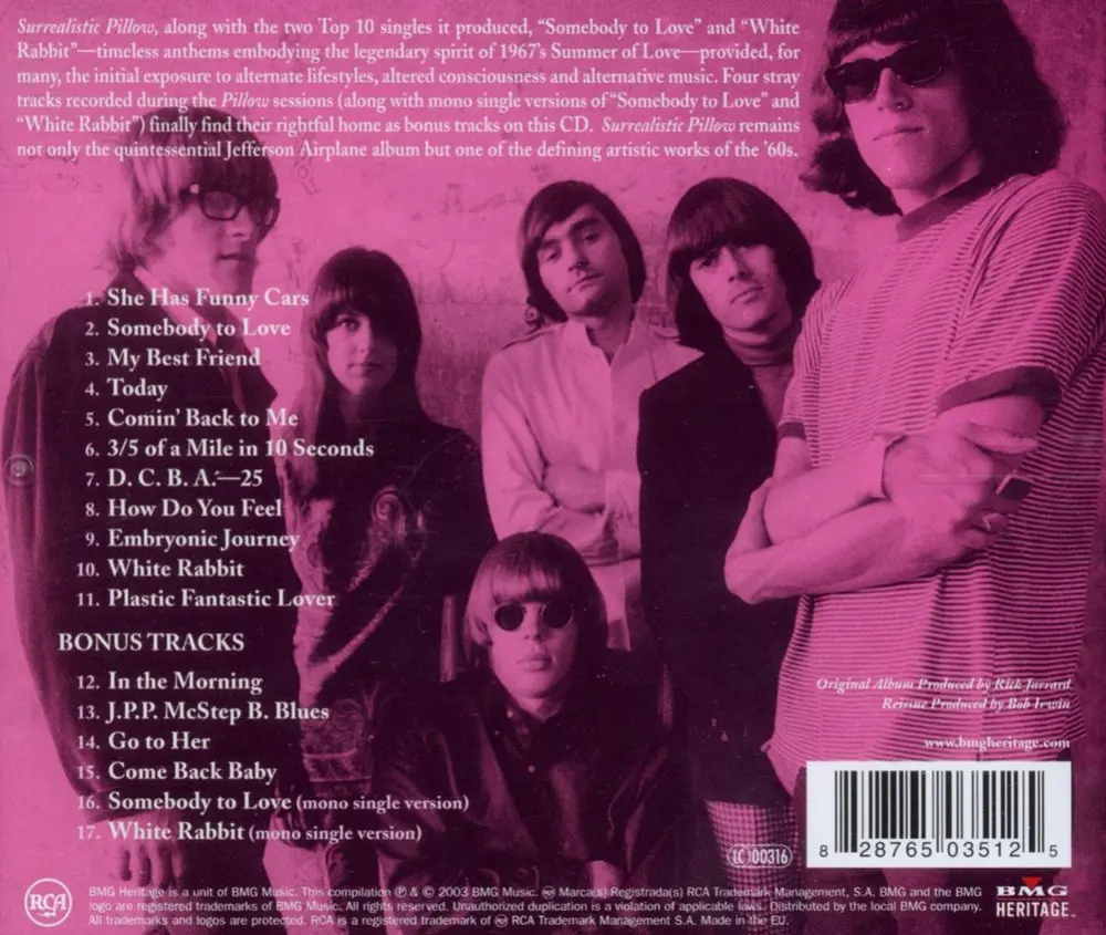 SURREALISTIC PILLOW