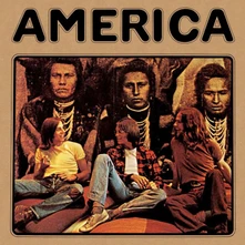Vinyl AMERICA