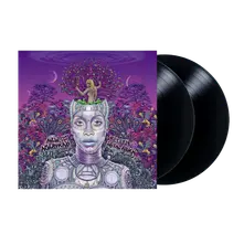 Vinyl New Amerykah Part Two (Return of the Ankh)
