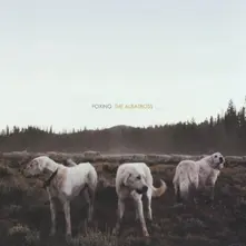 Foxing – THE ALBATROSS (Vinyl)
