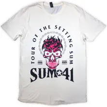 Tour '24 Pink Skull thumbnail