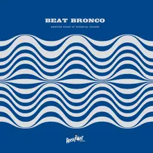 Beat Bronco Organ Trio – ANOTHER SHAPE OF ESSENTIAL SOUNDS (Vinyl)
