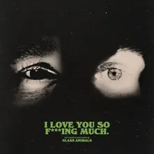 CD I LOVE YOU SO F***ING MUCH