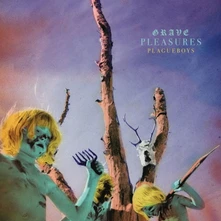 Grave Pleasures, CD Plagueboys