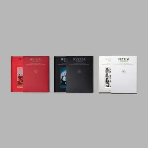 THE BOYZ – CD Reveal