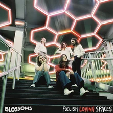 Blossoms, CD FOOLISH LOVING SPACES
