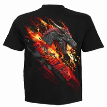 Fire And Blood thumbnail