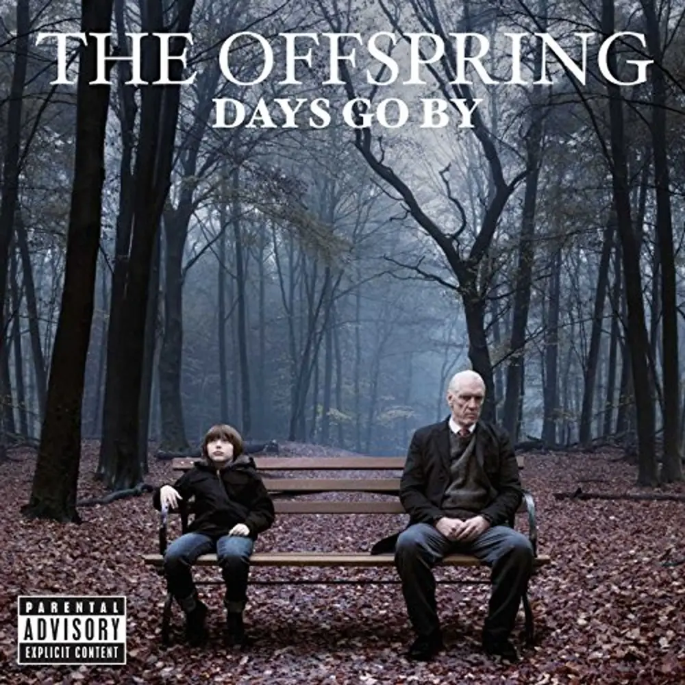 DAYS GO BY