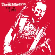 Vinyl BEST OF LIVE