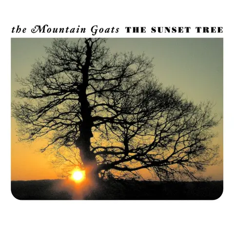THE SUNSET TREE