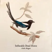 HELLO MAGPIE thumbnail