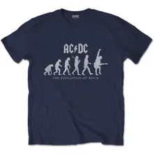 Evolution of Rock