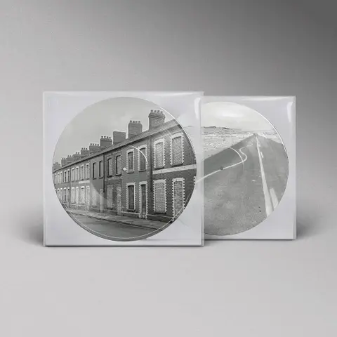 Critical Thinking (Picture Vinyl)