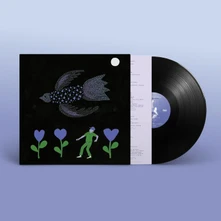Bonnie 'Prince' Billy, Vinyl THE PURPLE BIRD