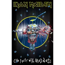 Can I Play With Madness thumbnail