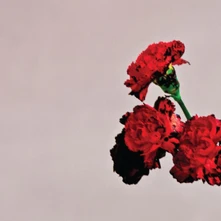 John Legend, Vinyl Love in the Future