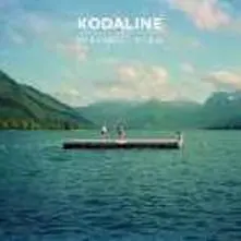 Kodaline, Vinyl In a Perfect World