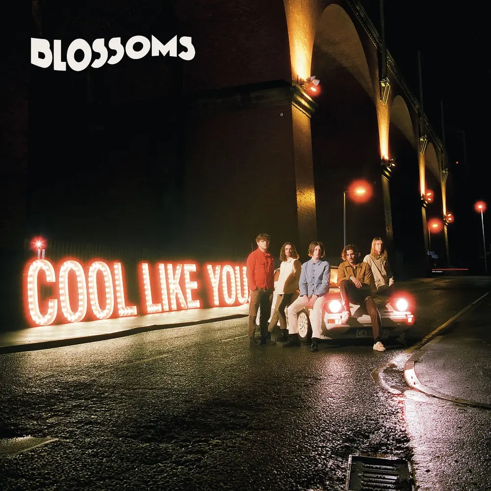 Blossoms – COOL LIKE YOU (Vinyl)