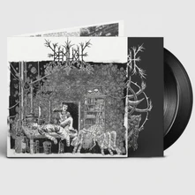 Demilich, Vinyl EM9T2NESS OF VAN2S1ING / V34ISH6NG 0F EMPTINESS