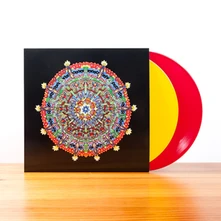 Vinyl HISSING FAUNA, ARE YOU THE DESTROYER?