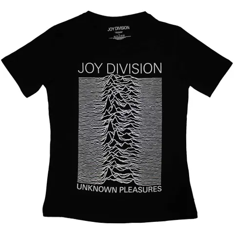 Unknown Pleasures FP
