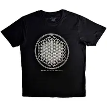 Sempiternal Tour thumbnail