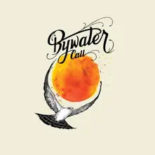 Vinyl BYWATER CALL