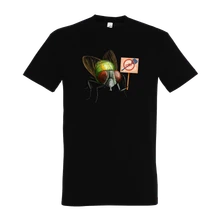 Protestantská mucha thumbnail