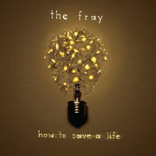 Vinyl How To Save a Life