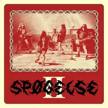 Vinyl SPOGELSE - SPOGELSE II