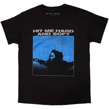 Hit Me Hard And Soft Tracklist thumbnail