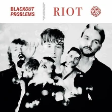 Blackout Problems, Vinyl Riot