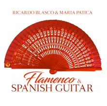 FLAMENCO & SPANISH GUITAR thumbnail