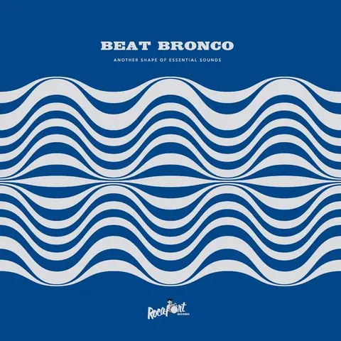 Beat Bronco Organ Trio – Vinyl ANOTHER SHAPE OF ESSENTIAL SOUNDS