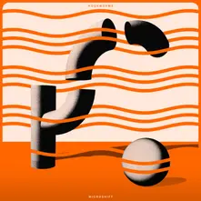 Vinyl MICROSHIFT