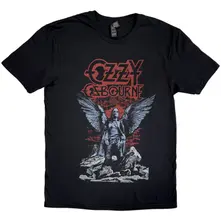 Angel Wings thumbnail